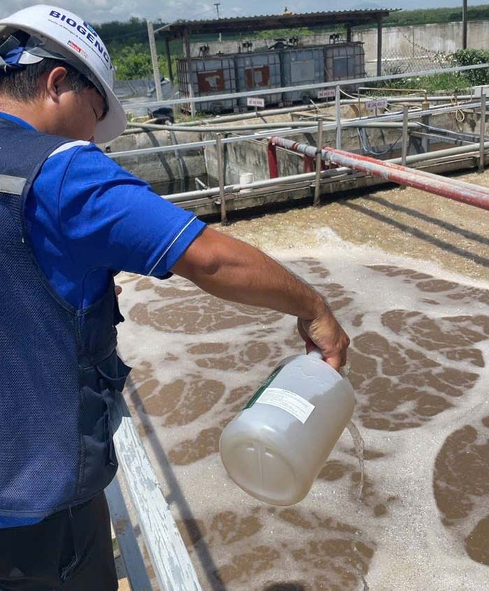 Công nghệ sinh học trong chuyển đổi xanh ngành môi trường 3 Vi sinh xử lý nước thải ngày càng được ưa chuộng.
