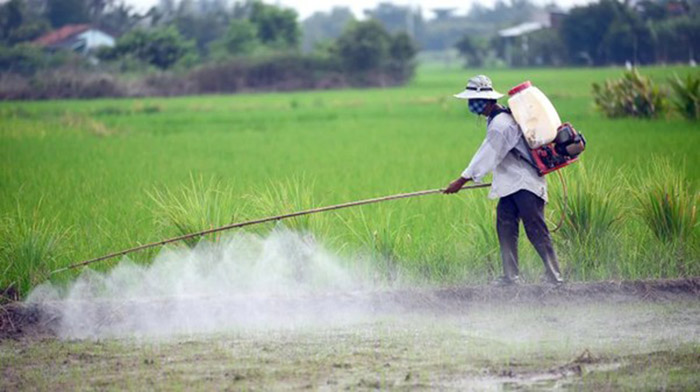4 việc cần làm để kiểm soát ô nhiễm môi trường hiệu quả 5 Giảm thiếu hoá chất độc hại trong sản xuất nông nghiệp giúp kiểm soát ô nhiễm môi trường.