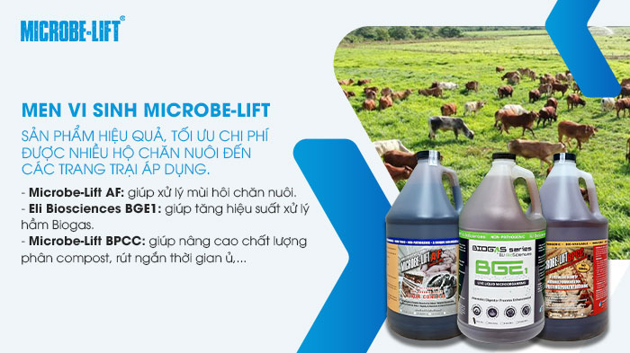 Chăn nuôi bền vững và thông minh: Chọn mô hình nào? 6 BIOGENCY - Đồng hành cùng bà con chăn nuôi bền vững.
