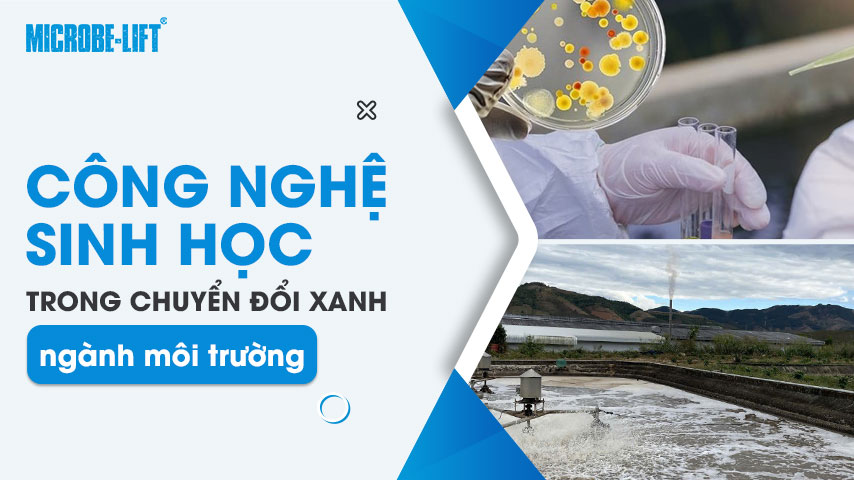 Công nghệ sinh học trong chuyển đổi xanh ngành môi trường 1 Công nghệ sinh học trong chuyển đổi xanh ngành môi trường