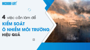 4 việc cần làm để kiểm soát ô nhiễm môi trường hiệu quả
