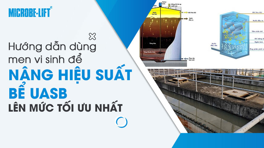 Hướng dẫn dùng men vi sinh để nâng hiệu suất bể UASB lên mức tối ưu nhất