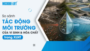 So sánh tác động môi trường của vi sinh và hóa chất trong XLNT