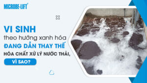 Vi sinh theo hướng xanh hóa đang dần thay thế hoá chất xử lý nước thải, vì sao?