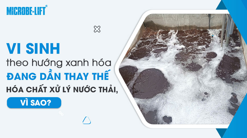Vi sinh theo hướng xanh hóa đang dần thay thế hoá chất xử lý nước thải, vì sao? 1 Vi sinh theo hướng xanh hóa đang dần thay thế hoá chất xử lý nước thải, vì sao?