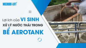 Lợi ích của vi sinh xử lý nước thải trong bể Aerotank