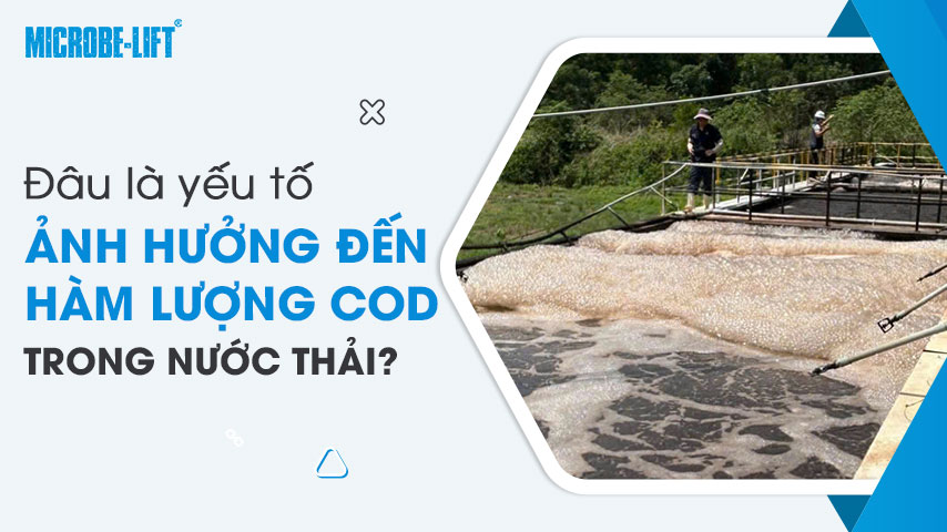 Đâu là yếu tố ảnh hưởng đến hàm lượng COD trong nước thải?