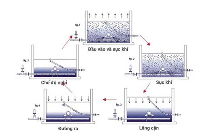 So sánh chi tiết bể ASBR và SBR trong xử lý nước thải 5 Nguyên lý hoạt động bể ASBR.