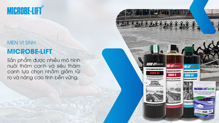 Dự đoán tình hình nuôi trồng thủy sản quý III/2026 7 Nuôi trồng bền vững cùng men vi sinh Microbe-Lift.