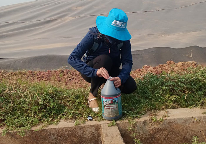 Hướng dẫn sử dụng vi sinh xử lý nước thải tinh bột sắn đúng cách 7 Cần sử dụng song song để phân hủy bùn đáy và váng cứng.