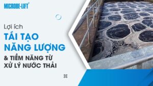 Lợi ích tái tạo năng lượng và tiềm năng từ xử lý nước thải