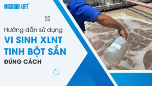 Hướng dẫn sử dụng vi sinh xử lý nước thải tinh bột sắn đúng cách