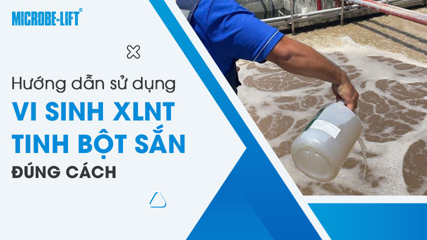 Hướng dẫn sử dụng vi sinh xử lý nước thải tinh bột sắn đúng cách 1 Hướng dẫn sử dụng vi sinh xử lý nước thải tinh bột sắn đúng cách