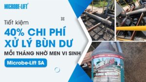 Tiết kiệm 40% chi phí xử lý bùn dư mỗi tháng nhờ men vi sinh Microbe-Lift SA