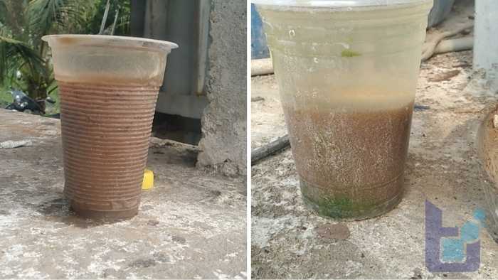 Vi sinh & vai trò kiểm soát vi khuẩn dạng sợi trong hệ thống xử lý nước thải 3 So sánh bùn lắng bình thường và bùn nở do vi khuẩn dạng sợi trong thí nghiệm SV30.
