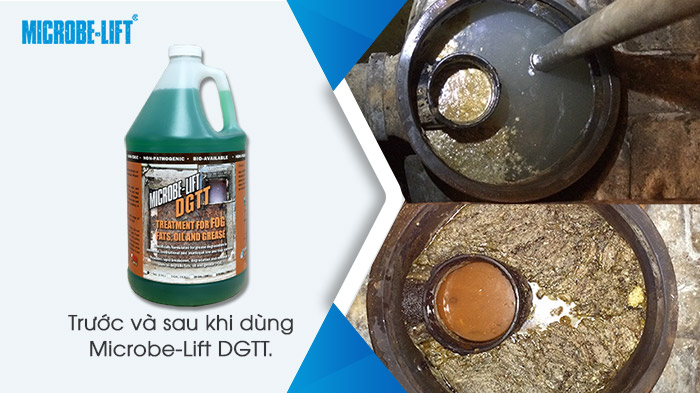 Sử dụng vi sinh để thay thế hóa chất trong xử lý dầu mỡ 5 Bẫy mỡ trước và sau khi dùng Microbe-Lift DGTT không còn tắt nghẽn vì quá tải.