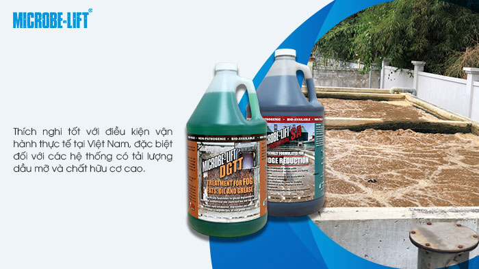7 Hiệu quả thực tế khi kết hợp Microbe-Lift DGTT và SA cho HTXLNT ngành F&B 6 Bộ đôi men vi sinh đã chứng minh khả năng thích nghi tốt với điều kiện vận hành tại Việt Nam.
