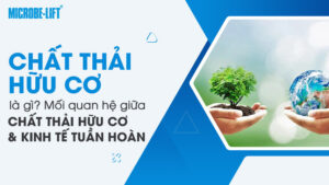 Chất thải hữu cơ là gì? Mối quan hệ giữa chất thải hữu cơ và kinh tế tuần hoàn