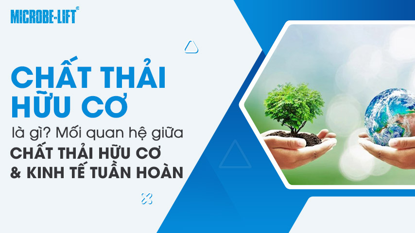 Chất thải hữu cơ là gì? Mối quan hệ giữa chất thải hữu cơ và kinh tế tuần hoàn