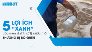 5 Lợi ích xanh của men vi sinh xử lý nước thải thường bị bỏ quên