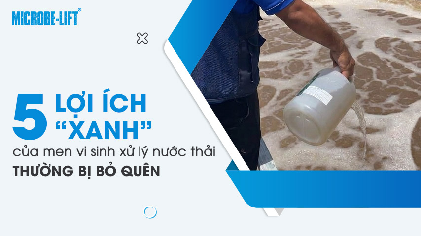 5 Lợi ích xanh của men vi sinh xử lý nước thải thường bị bỏ quên 1 5 Lợi ích xanh của men vi sinh xử lý nước thải thường bị bỏ quên