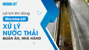 Lợi ích khi dùng Microbe-Lift xử lý nước thải quán ăn, nhà hàng