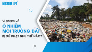 Vi phạm về ô nhiễm môi trường đất bị xử phạt như thế nào?