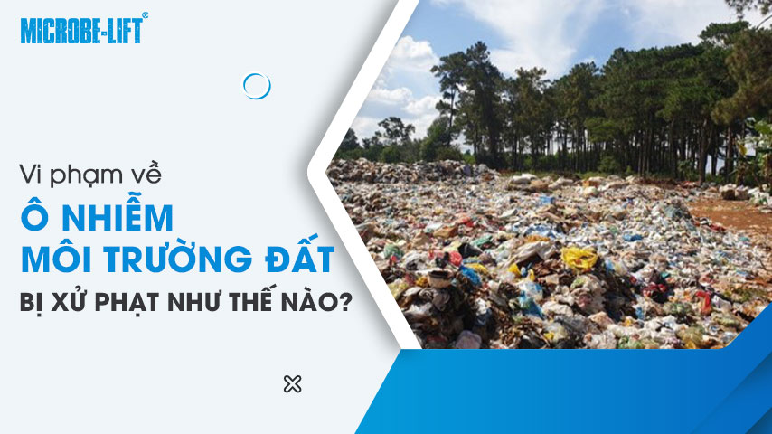 Vi phạm về ô nhiễm môi trường đất bị xử phạt như thế nào? 1 Vi phạm về ô nhiễm môi trường đất bị xử phạt như thế nào?