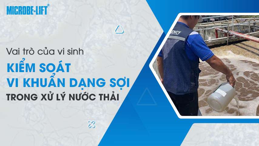 Vi sinh & vai trò kiểm soát vi khuẩn dạng sợi trong hệ thống xử lý nước thải 1 Vai trò của vi sinh kiểm soát vi khuẩn dạng sợi trong xử lý nước thải