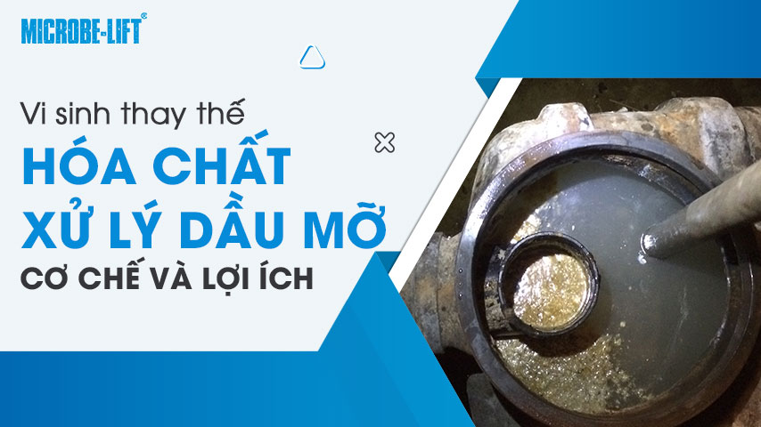 Sử dụng vi sinh để thay thế hóa chất trong xử lý dầu mỡ 1 Vi sinh thay thế hóa chất xử lý dầu mỡ: cơ chế và lợi ích