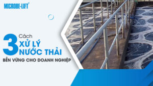 Xử lý nước thải bền vững là gì? 3 cách xử lý nước thải bền vững cho doanh nghiệp