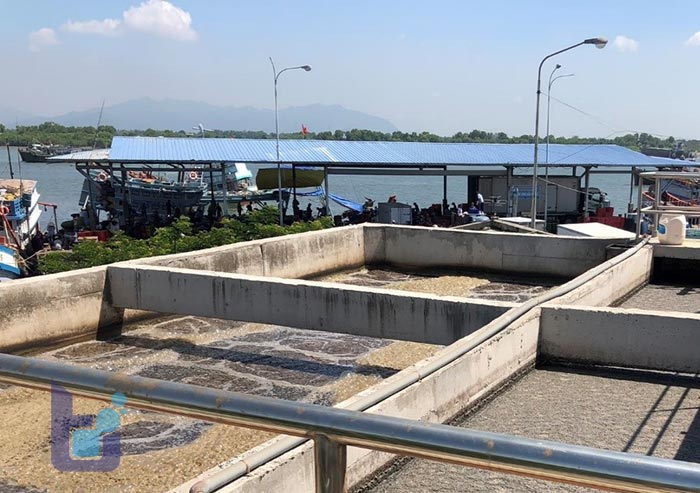 7 vướng mắc trong cơ chế cấp giấy phép môi trường hiện nay 5 Vận hành thử nghiệm công trình xử lý nước thải.