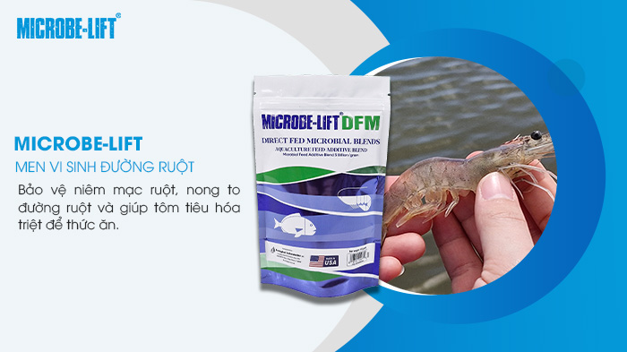 Men vi sinh đường ruột Microbe-Lift DFM.