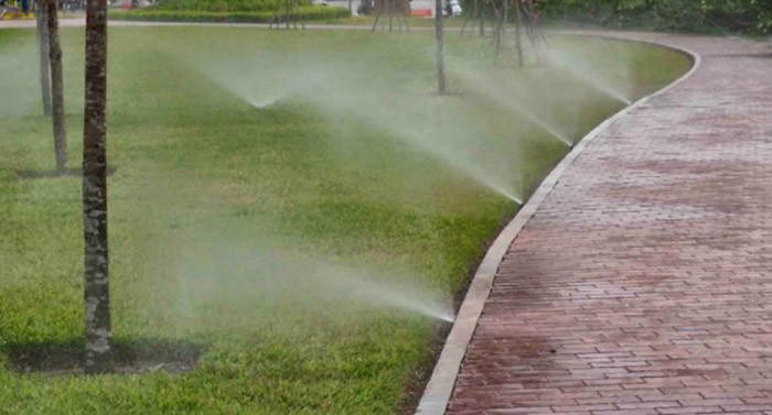 Xử lý nước thải bền vững là gì? 3 cách xử lý nước thải bền vững cho doanh nghiệp 7 Nước thải sau khi xử lý có thể tái sử dụng để tưới cây.