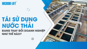 Tái sử dụng nước thải đang thay đổi doanh nghiệp như thế nào?
