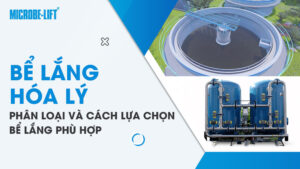 Bể lắng hóa lý là gì? Phân loại và lựa chọn bể lắng phù hợp trong hệ thống xử lý nước thải