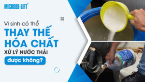 Vi sinh có thay thế hóa chất xử lý nước thải được không? Ở đâu?