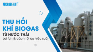 Thu hồi khí Biogas từ nước thải: Lợi ích và cách tối ưu hiệu suất