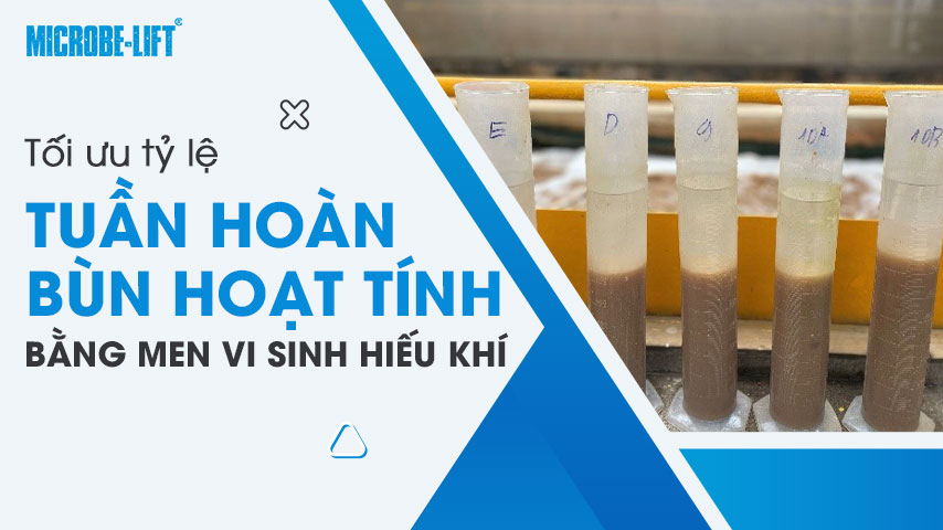 Tối ưu tỷ lệ tuần hoàn bùn hoạt tính bằng men vi sinh hiếu khí trong hệ thống xử lý nước thải