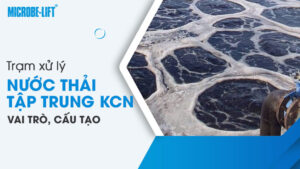Trạm xử lý nước thải tập trung khu công nghiệp: vai trò, cấu tạo và những thách thức trong quá trình vận hành