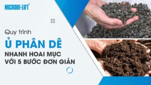 Cách ủ phân dê nhanh hoai mục với 5 bước - Nhanh hoai mục, ít mùi hôi
