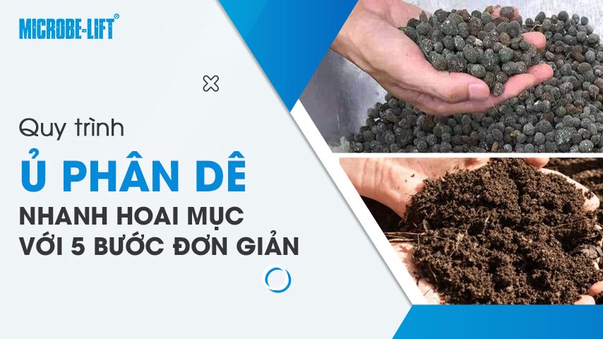 Cách ủ phân dê nhanh hoai mục với 5 bước - Nhanh hoai mục, ít mùi hôi